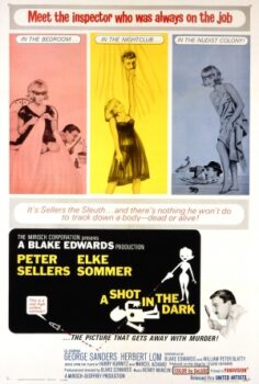 Karanlıkta bir çığlık (1964) izle