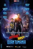 Ant-Man ve Wasp: Quantumania izle