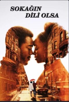 Sokağın Dili Olsa izle