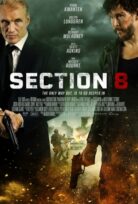 Section 8 izle