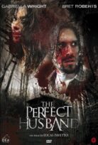 The Perfect Husband izle