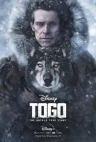 Togo izle