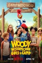 Ağaçkakan Woody Yaz Kampında izle