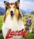 Lassie: Yepyeni Bir Macera izle