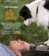 A Dog Year izle
